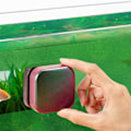 Miniatyrbillede 5 af 8: Mini Akvarium Magnetisk Børst Gradient Farve Dobbeltsidet Ergonomisk Fiskekum Magnetisk Børst Rengøringsmiddel til Glas Indenfor 12mm Stor