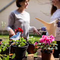 Miniatyrbillede 8 af 8: Jordfugtighedsmåler Vanding Alarm Plante Vand Tester Hygrometer Sensor Havearbejde Værktøjssæt til Planter Vand Påmindelse Advarsel Alarm