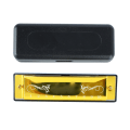 Pikkukuva 1 / 8: Harmonica 10 Hole 20 Tune C Key Professional Standard suuurut case Kid Beginner Gold