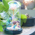 Miniatyrbillede 4 af 7: Glas Kunstig Rose LED Lyskæde Valentinsdag Gave Gave Simulering Blomst Glas Cover Led Lys