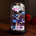 Miniatyrbillede 6 af 7: Glas Kunstig Rose LED Lyskæde Valentinsdag Gave Gave Simulering Blomst Glas Cover Led Lys