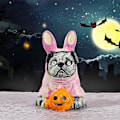 Pikkukuva 4 / 5: Pelottavat Pinkit Puput Koiran Halloween Keittiötarvikkeet Mikro-Maisemat DIY Kristallikuula Tarvikkeet Hartsi Keittiötarvikkeet Flye2785