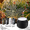Pikkukuva 4 / 5: 3D-maalaus Spider Nails -geeli luova lankavetokynsinauha -geeli kynsien taiteeseen manikyyriin c09