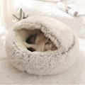 Miniatyrbilde 1 av 4: Fluffy katteseng, rund, myk fløyel, hule med hette, katteseng, for vinteren, varm, sovepute, sklisikker, maskinvaskbar, for katter og valper