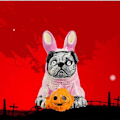 Pikkukuva 5 / 5: Pelottavat Pinkit Puput Koiran Halloween Keittiötarvikkeet Mikro-Maisemat DIY Kristallikuula Tarvikkeet Hartsi Keittiötarvikkeet Flye2785