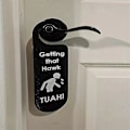 Pikkukuva 2 / 2: Hawk TUAH! - Oviripustin