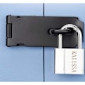 Miniatyrbilde 4 av 5: Lås i rustfritt stål - opp til svart rustfritt stål 4 \"dørspenne
