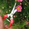 Miniatyrbillede 4 af 5: Multifunktionel Gartnersaks til Blomsterarrangementer, Beskæring af Planter, Høst af Urter og Frugter