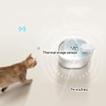 Miniatyrbild 3 av 7: Trådlös batteridriven dricksfontän för katter, automatisk vattenfontän för katter, ultratyst kattfontän för katter och små hundar