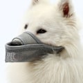 Miniatyrbillede 4 af 5: Hundemundkurv til Små, Mellemstore og Store Hunde, Luftgennemtrængelig og Drikkbar Mundkurv i Mesh til at Forhindre Bid, Gøen og Slikken