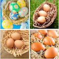 Miniatyrbilde 5 av 5: 6 stk. falske treegg for håndverk for å få høner til å legge egg