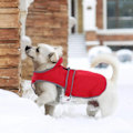 Miniatyrbild 3 av 5: Halsband hundkläder Höst och vinter hundkläder Husdjurskläder Hund bomull vadderade kläder