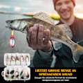 Pikkukuva 4 / 7: Kalastusviehe, 10 kappaleen spinneri-indikaattorisetti, monivärinen kalastusspinneriviehe, lusikkaviehe, kolmihaarakoukuilla, taimenelle, ahvenelle, lohelle, hauelle,