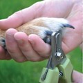 Miniatyrbilde 2 av 4: Profesjonell negleklipper i rustfritt stål for hunder (Medium/Stor), Hundeklippere, Hundepleieverktøy, Negleklippere for kjæledyr, Kjæledyrutstyr for hunder