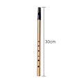 Miniatyrbillede 2 af 5: Irsk Tin Whistle i C/D-tone, Irlands Klassiske Keltiske Folkeinstrument i Messing | Nem at lære, til Begyndere