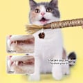 Miniatyrbilde 2 av 7: Kattemyntepinner for katter, Matatabi tyggeleker for katter, kattpinner