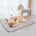 Miniatyrbillede 5 af 5: Hunde Kølemåtte Vaskbar Skridsikker Blød Køletæppe til Kæledyr Sommer