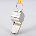 Miniatyrbild 2 av 4: 2-pack - Metallvisselpipa