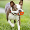 Miniatyrbild 6 av 6: Hund Leksak Pipande Hundleksaker Bollar Interaktiv Tuggljud Flytande Spelboll Hämta Lek för Hundar Tandvård För Hundar Husdjur