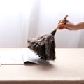 Miniatyrbild 2 av 8: Reusable Ostrich Feather Duster with Anti-Static Wooden Handle