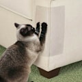 Miniatyrbild 8 av 10: Husdjurskatt Anti-Rep Tejp Rulle Soffa Soffa Möbelskydd