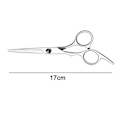 Miniatyrbild 5 av 5: Professionell Frisör/Salong Razor Edge Hårklippningssax Silver