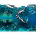 Miniatyrbilde 11 av 11: Snorkelmaske Heldekkende - Snorkling - L/XL Black Svart