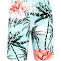Pikkukuva 3 / 5: Miesten Havaiji-paita ja shortsit -setti Regular Fit lyhythihainen rento funky ranta flamingo paita setti L L Green Palm