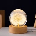 Miniatyrbillede 2 af 4: Lysende krystalkugle roterende natlys træbase evig blomstlampe - SNNGV
