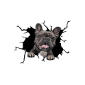 Pikkukuva 1 / 5: WC-tarrat Seinätarra Koira Halkeileva Auton Tarra Jääkaapin Tarra Kodin Sisustus Pitbull Dachshund Husky Bulldog Halkeileva Kodin Sisustus