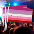 Miniatyrbild 2 av 5: Lgbtq regnbågsflaggor för hand, tydligt tryckta regnbågsflaggor för Lgbtq-parader och sammankomster（50 st C）