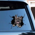 Pikkukuva 4 / 5: WC-tarrat Seinätarra Koira Halkeileva Auton Tarra Jääkaapin Tarra Kodin Sisustus Pitbull Dachshund Husky Bulldog Halkeileva Kodin Sisustus