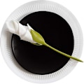 Miniatyrbillede 3 af 4: 20 stk. Servietholder i plast Servietholder Blomst til borde