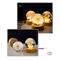 Miniatyrbillede 3 af 4: Lysende krystalkugle roterende natlys træbase evig blomstlampe - SNNGV