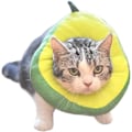 Miniatyrbild 1 av 5: Justerbar Kattkrage Mjuk, Kattåterhämtningskrage, Söt Avocado E-Krage för Katter Efter Operation, Kattkrage för att Stoppa Slickande för Katt/Kattunge/Små