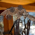 Miniatyrbild 4 av 5: 50 st Cobweb-underlägg i Plast, Halloween Party Favoriter (Svart)