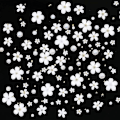 Miniatyrbild 3 av 5: 3D Blomster Nagelkonst Charm, 250 st Vit Blommor Nagel Strass Kit 3D Kristall Nagel Pärlor Platt Design Akryl Nagelkonst Dubbar Manikyr Nagel Tillbehör