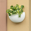 Miniatyrbild 2 av 5: Blomkruka Exklusiv Väggmonterad Plast Vägghängande Korg (Svart)