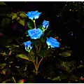 Miniatyrbild 2 av 5: Solcellslampa för trädgård, 1 st Solrosblomma Ljus, 5 LED Trädgårdsblommor Flerfärgad Växlande Dekorativ Vattentät för Trädgård P