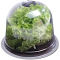 Miniatyrbild 2 av 5: Salad Bell X5 Växthus för Växter