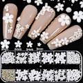 Miniatyrbild 2 av 5: 3D Blomster Nagelkonst Charm, 250 st Vit Blommor Nagel Strass Kit 3D Kristall Nagel Pärlor Platt Design Akryl Nagelkonst Dubbar Manikyr Nagel Tillbehör