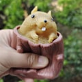 Miniatyrbilde 3 av 3: Ghyt kompresjonsleker, myke leker, klem ekornleker, trestubbe sensoriske fingertuppleker 2 stk