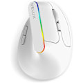 Miniatyrbild 1 av 5: För Delux M618c Ergonomisk Trådlös Vertikal Mus, 2.4ghz 6 Knappar 1600dpi Optisk Laptop Dator Mus (vit)