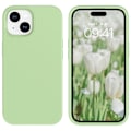 Miniatyrbilde 9 av 9: iPhone 15 Pro Max - Matt TPU-deksel - Shell Light green