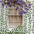 Miniatyrbillede 4 af 9: 6 Meter Ivy Garland - Grøn og vedligeholdelsesfri Green