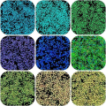 Miniatyrbilde 4 av 4: Frøperler - 2 mm - 750 stk - Glow in dark - Lysende perler Multicolor