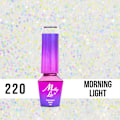 Pikkukuva 2 / 5: Mollylac - Geelilakka - Winter Crystalize - Nr220 - 5g UV geeli/LED