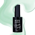 Miniatyrbillede 1 af 2: NTN Premium - Dreamworld - 2i1 Basecoat - 5g Nr4 Green