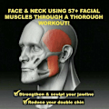Miniatyrbillede 2 af 4: Jawline Exerciser Jaw Trainer - Træning af definerede kæbemuskler Black one size