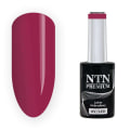 Miniatyrbilde 1 av 4: NTN Premium - Gelelakk - Passion for Love - Nr207 - 5g UV gel/LED